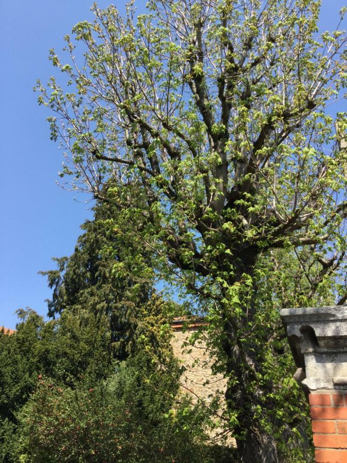 Saint-Didier-en-VelayLes Marronniers住宿加早餐旅馆 外观 照片